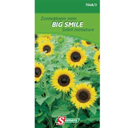 Somers zaad pakket zonnebloem mini 'Big Smile'