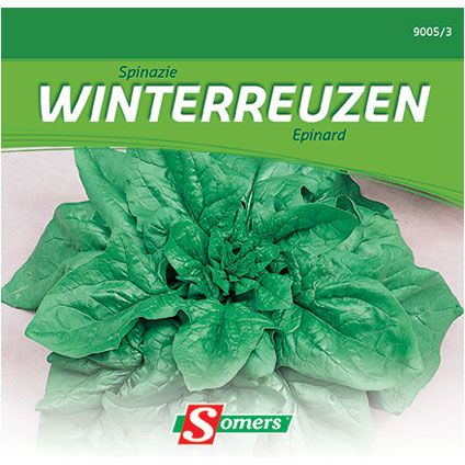 Somers zaad pakket spinazie 'Winterreuzen'