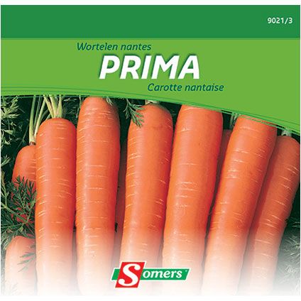 Somers zaad pakket wortelen Nantes 'Prima'