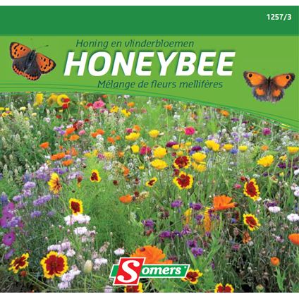 Somers honing en vlinderbloemen 'Honeybee'
