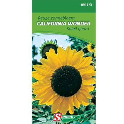 Sachet graines soleil géant Somers 'Californie wonder'