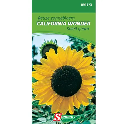 Somers zaad pakket reuze zonnebloem 'Californie wonder'