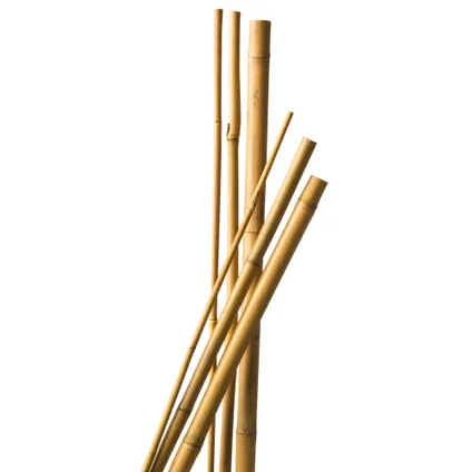 Tuteur bambou naturel - H240 cm x Ø18-20 mm - 3 x 2