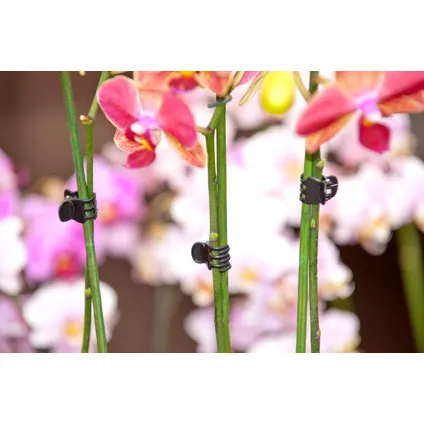Nature orchideeënclips zwart 10 stuks 3