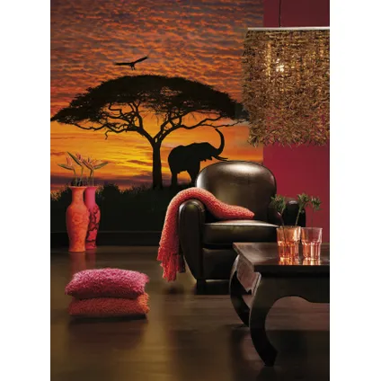 Photo murale Komar African Sunset