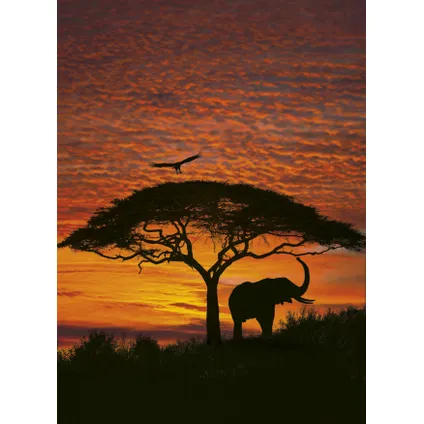 Komar fotobehang African Sunset 2