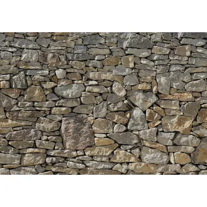 Komar fotobehang Stone Wall 2