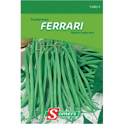 Sachet graines haricot nain vert Somers 'Ferrari'