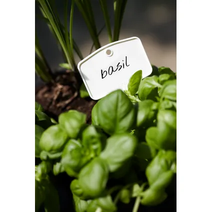 Étiquettes à planter Elho green basics M (set/5) blanc 3