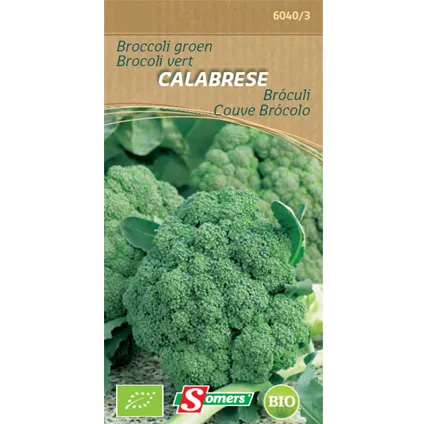 Sachet graines brocoli vert Somers 'Calabrese'
