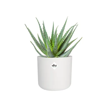 Pot de fleurs Elho b. for soft rond Ø16cm blanc 5