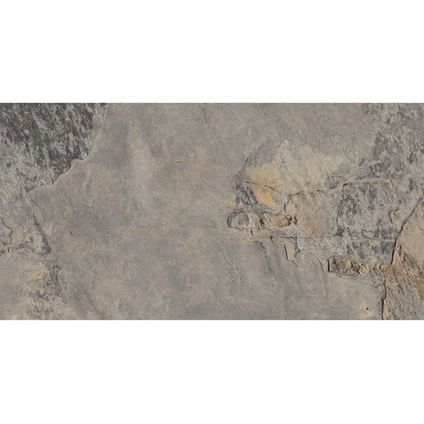 Wand- en vloertegel Ardesia - Keramiek - Grijs - 32x62,5cm - Pakketinhoud 1m²