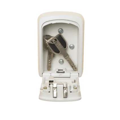 Master Lock sleutelkluis Select Access 5401EURDCRM 118x83x34mm 2