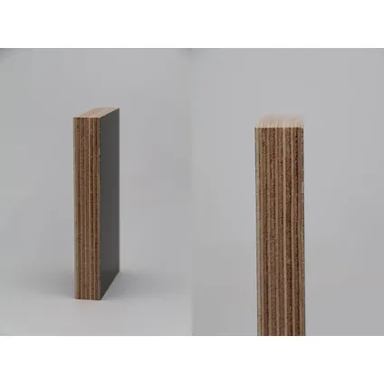 Contreplaqué Hardwood Film Plus - Eucalyptus bois dur - 250x125cm - 18mm 4