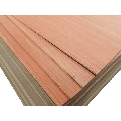 Panneau multiplex Hardwood Plus - Eucalyptus bois dur - 250x122cm - 3,6mm