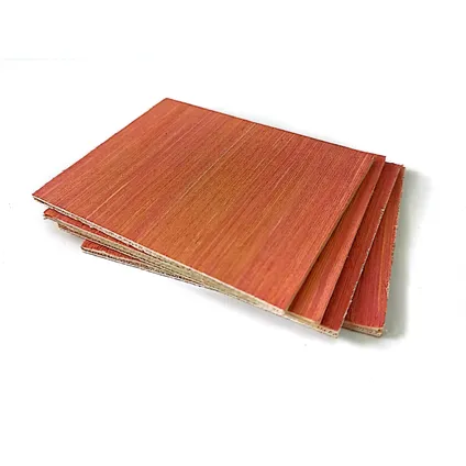 Panneau multiplex Hardwood Plus - Eucalyptus bois dur - 250x122cm - 3,6mm 2