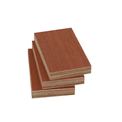 Panneau multiplex Hardwood Plus - Eucalyptus bois dur - 250x122cm - 18mm 2