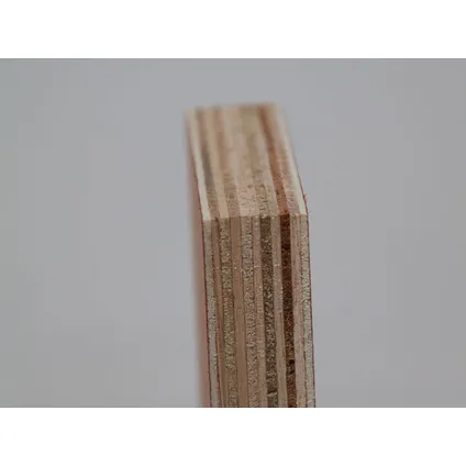 Panneau multiplex Hardwood Plus - Eucalyptus bois dur - 250x122cm - 18mm 3