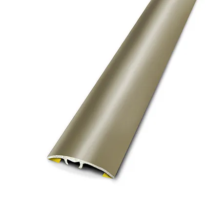 Dinac multifunctioneel profiel aluminium titanium 2,7 cm