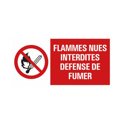 Plaque de signalisation Pickup 'Flammes interdites' 300x150mm