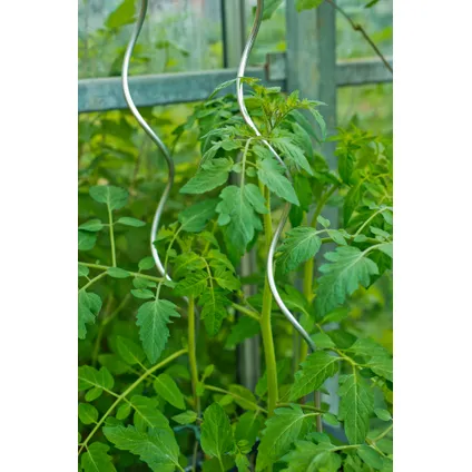 Nature tomatensteun verzinkt spiraalvormig H150cmxØ6,8mm 3