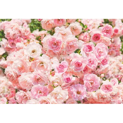 Sanders & Sanders fotobehang bloemen roze - 368 x 254 cm - 612260