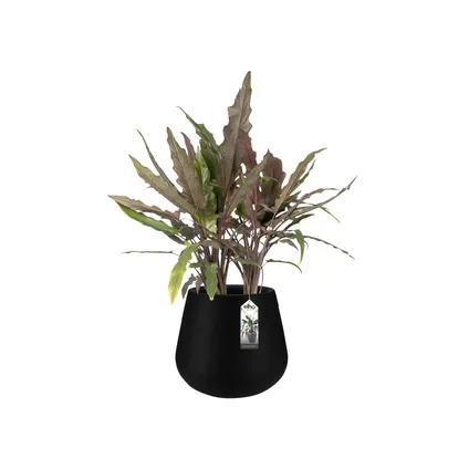 Pot de fleurs Elho pure cone Ø45cm noir 6