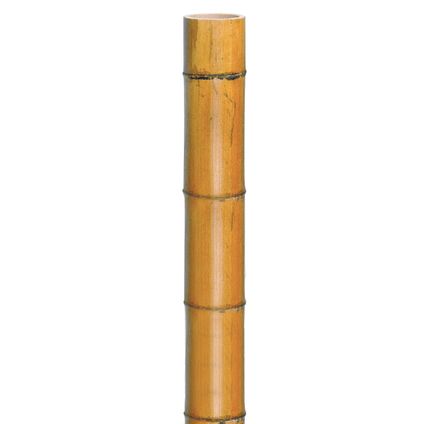 Nature bamboestengel gelakt 270xØ4/5cm