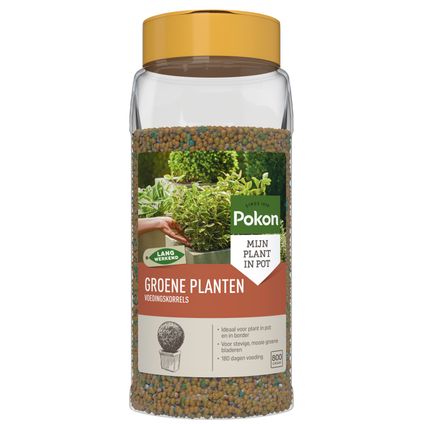 Pokon voedingskorrels voor groene planten 800gr