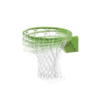 EXIT basket dunk ring + filet vert 2