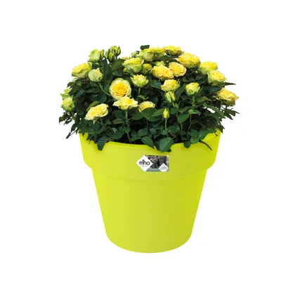 Pot de fleurs Elho green basics top planter Ø30cm lime vert 5