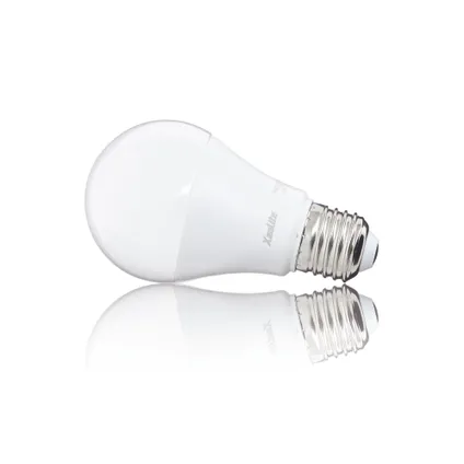 Ampoule LED Xanlite A60 blanc chaleureux E27 11W 2 pcs. 3