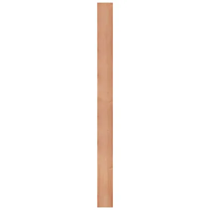 Douglas plank geschaafd 1,8x19x240cm 4