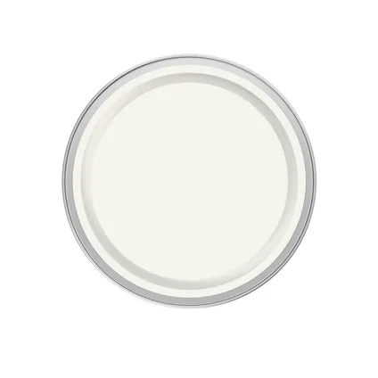 Peinture Levis Expert Façade blanc soft satin 2,5L 2