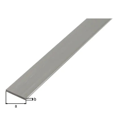 Alberts Profilé BA aluminium plat naturel 50x3mm 2m
