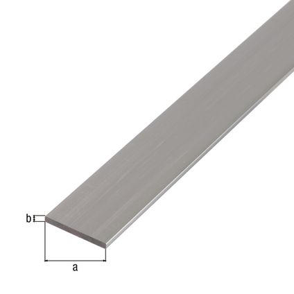 Alberts BA-profiel vlak aluminium natuur oppervlak 20x2mm 2m
