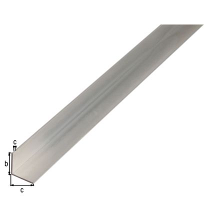 Alberts hoekprofiel aluminium zilver 15x15x1mm 1m