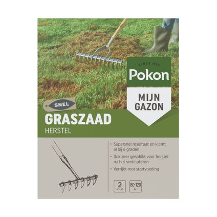 SOS Graines de gazon récupération Pokon - 2 kg