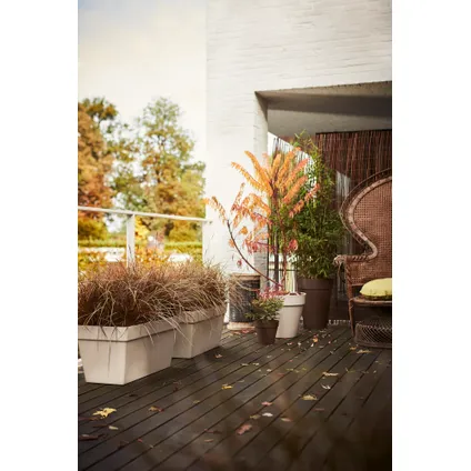 Elho plantenbak loft urban terrace wielen 70cm wit 5