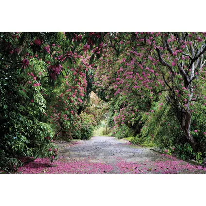Sanders & Sanders fotobehangpapier landschap groen en roze - 368 x 254 cm - 612269