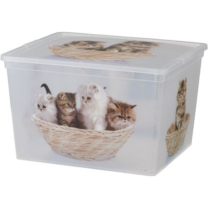 Praxis KIS Cbox kittens cube aanbieding
