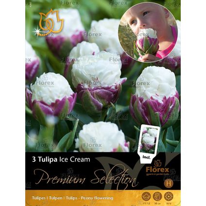 Premium-5 tulp ice cream