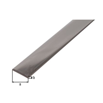 Alberts profil plat en acier inoxydable 15x2mm 1m