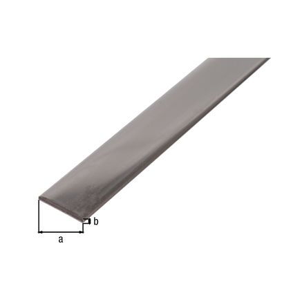 Barre plate Alberts en acier inoxydable 20x2mm 1m