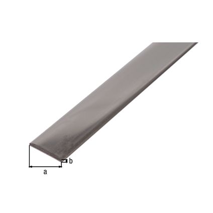 Alberts profil plat en acier inoxydable 25x2mm 1m