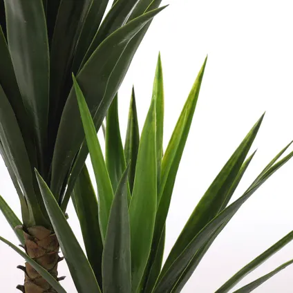 Plante artificielle Mica Decorations Yucca - 60x60x120 cm - Vert 3