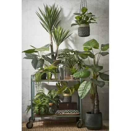 Plante artificielle Mica Decorations Yucca - 60x60x120 cm - Vert 6