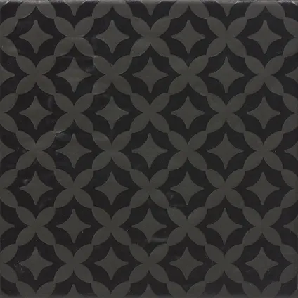 Wand- en vloertegel Modena zwart 22,5x22,5cm