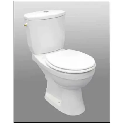 Met toiletpot in porselein 100% geëmailleerd - Jachtbak in porselein - Mechanisme 3/6L - Verchroomde drukknop - Geruisloze - Soft-Close wc-zitting in thermodur inbegrepen - Horizontale uitgang - Bevestigingsset.Afm. : 75 x 72 cm
