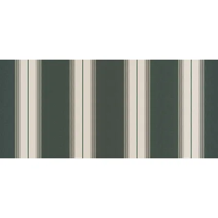 Domasol knikarmscherm F10 manueel RAL9001 groen grijs doek D408 550x250cm 2